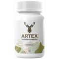 Artex desde 590 pesos