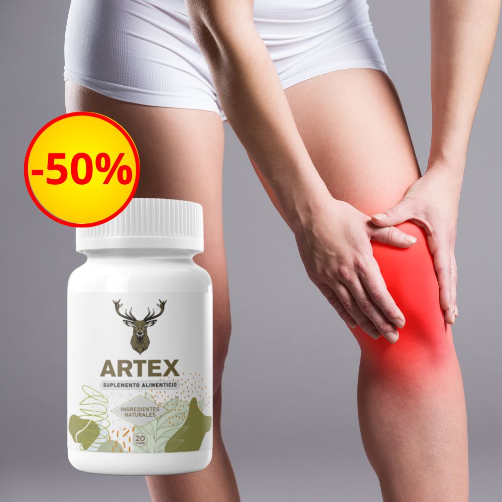 Artex México Página Oficial Artex México Página Oficial