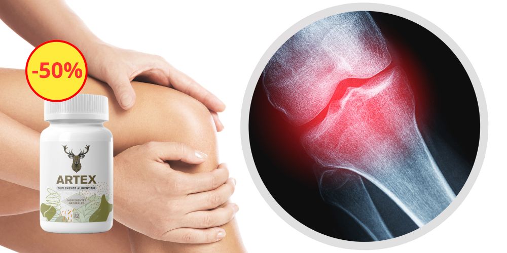 Artex México Página Oficial